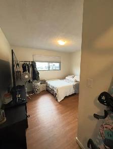 2 Bedroom, 1 Bathroom Suite. - Photo 4