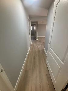 Newly Renovated Basement Suite for Rent - Photo 4