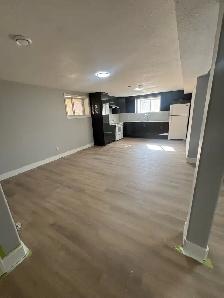 Newly Renovated Basement Suite for Rent - Photo 6