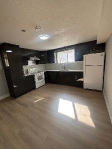 Newly Renovated Basement Suite for Rent - Photo 7