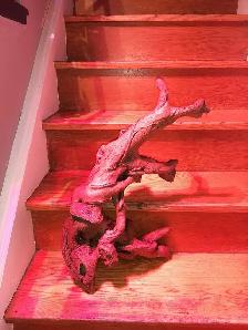 XXL Reptile Habitat Decor