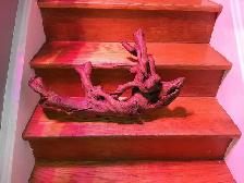 XXL Reptile Habitat Decor - Photo 2