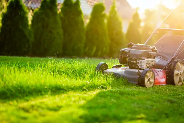 LAWN MOWING ONE TIME CUT
