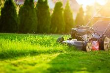 LAWN MOWING ONE TIME CUT