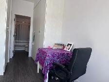 a apartment or room for rent