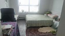 a apartment or room for rent - Photo 7