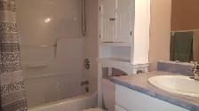 2 bed above ground walkout apt in detached home - Photo 9