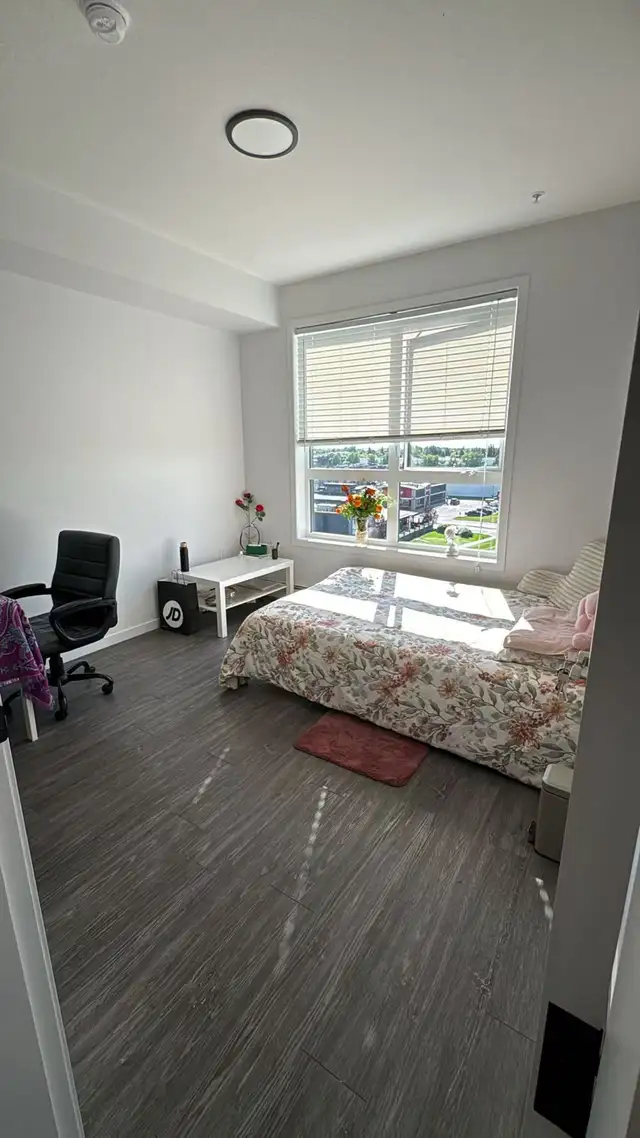 room for rent