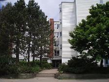 59 Main Avenue - 304-Two Bedroom Apartment for Rent