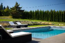 Gated 5.5-Acre SE Kelowna Estate with Pool, Shop & Legal Suite - Photo 9