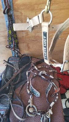 WESTERN SADDLE - Photo 9
