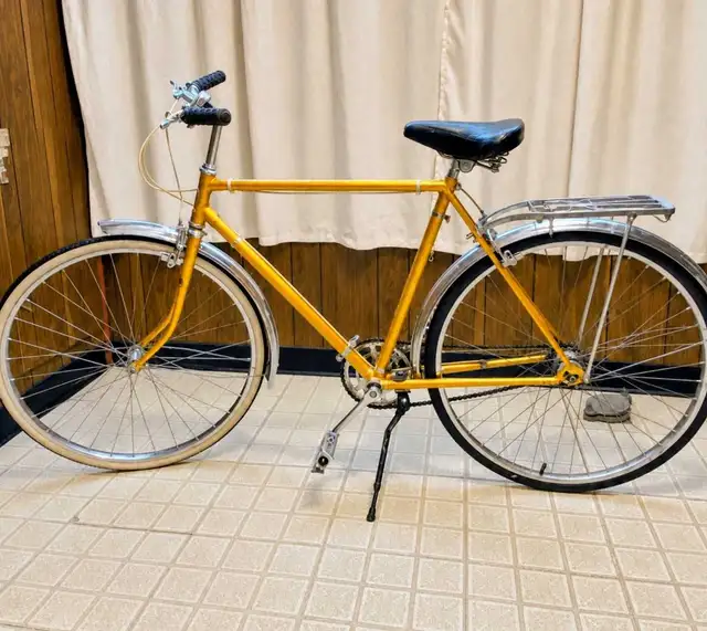 Supercycle 3-speed cruiser Vintage