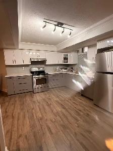 1 Bedroom Basement for Rent