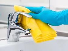 Deep cleaning indoor GTA