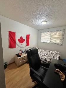2-bedroom Basement Suite - Photo 7