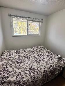 2-bedroom Basement Suite - Photo 8