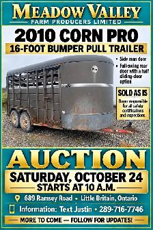 Horse, Pony, Donkey & Livestock Auction - October 24th - Photo 7