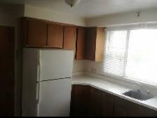Spacious 3-Bedroom apartment - Photo 6