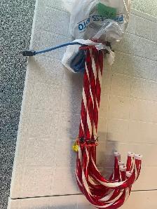 LIGHTED CHRISTMAS CANDY CANES