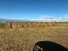 Hay Bales