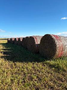Hay Bales - Photo 2