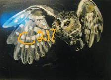 Selection of Original Acrylic Paintings For Sale in Chatham, - Photo 3