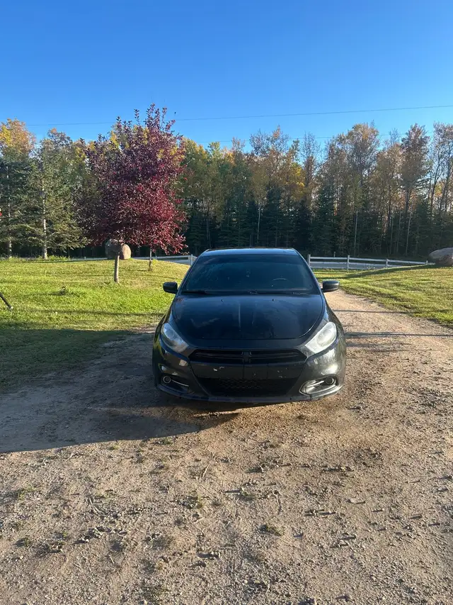 2013 dodge dart Rallye