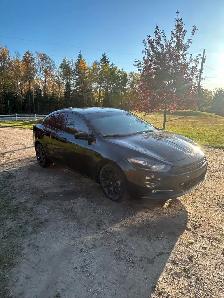 2013 dodge dart Rallye - Photo 3