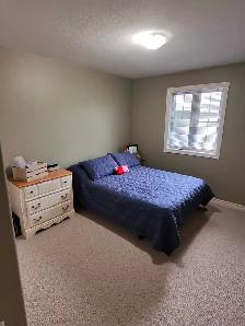 Beautiful townhouse available to rent  - North End - Photo 6