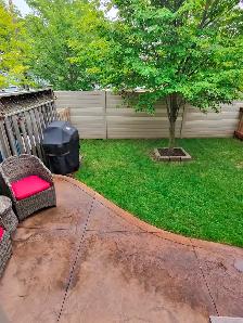 Beautiful townhouse available to rent  - North End - Photo 8