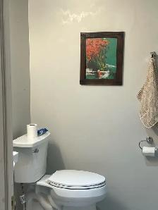 Large basement with garage parking wi-fi at Bowmanville - Photo 8