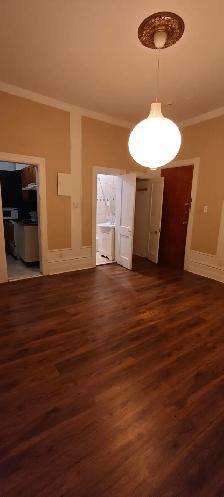 studio for rent - downtown near concordia