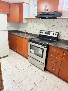 Basement Apartment - Photo 4