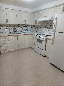 2 Bedroom Basement Apartment for Rent - Nov. 1st - Photo 5