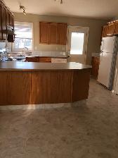 Welcome Home! 4 bed rm, 2 Bath, Fenced Yard, Great Area! - Photo 2
