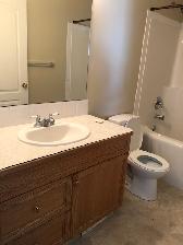 Welcome Home! 4 bed rm, 2 Bath, Fenced Yard, Great Area! - Photo 5