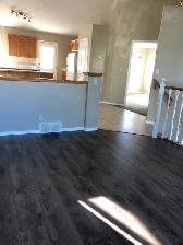 Welcome Home! 4 bed rm, 2 Bath, Fenced Yard, Great Area! - Photo 10