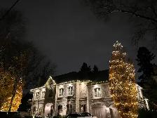 Holiday Lights Installation FREE QUOTE - Photo 5