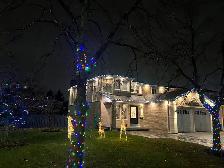 Holiday Lights Installation FREE QUOTE - Photo 6
