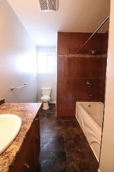 675 Geneva St, St. Catharines - 3 Bedroom Main Unit - Photo 14