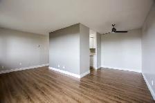 ALLISTON GARDENS APARTMENTS - Coming Soon! - Photo 4
