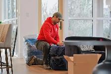 Professional Movers Moving services Piano Moving 4374600062