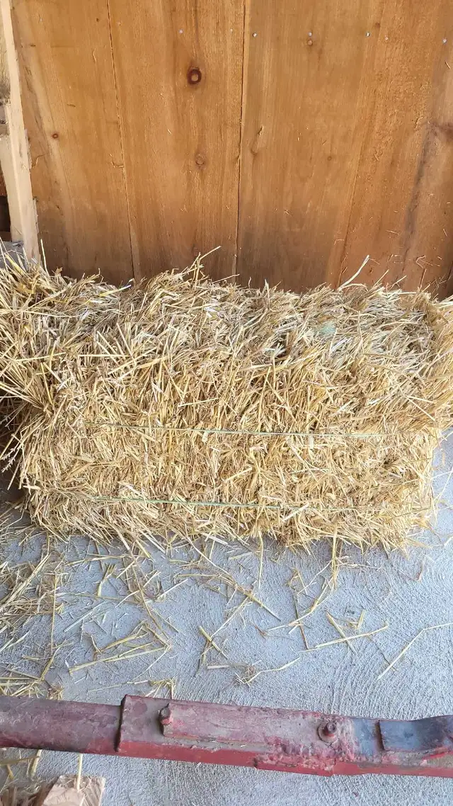wheat straw