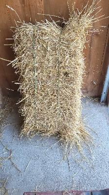 wheat straw - Photo 2