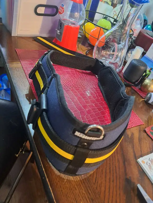 Mastercraft Tool Belt