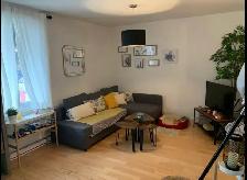 4plex à vendre — Hochelaga-Maisonneuve — revenus 77 616 $/an - Photo 3