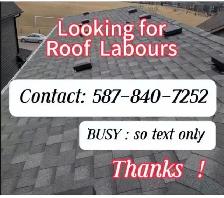 looking for roof labours