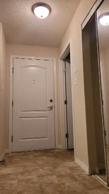 2 beds 2 baths available for rent at South Terwillegar Dr NW Edm - Photo 4