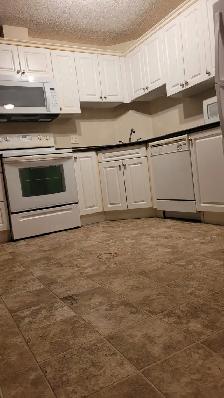 2 beds 2 baths available for rent at South Terwillegar Dr NW Edm - Photo 5