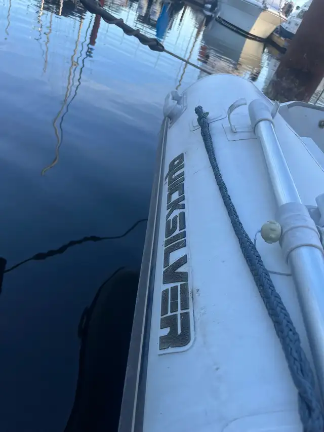 durable 8.5 foot inflatable dingy for sale.